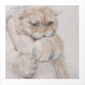 Yoyo scared watercolor pet