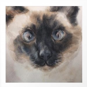 Siamese Cat Water Color Painting