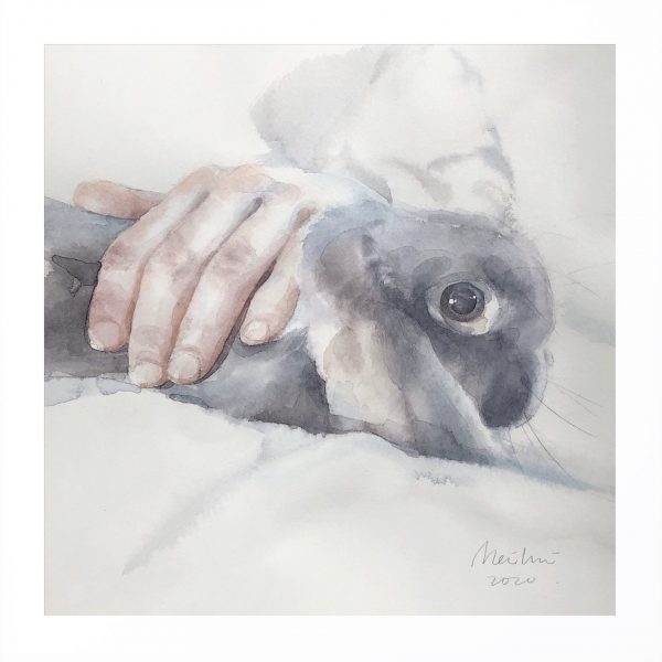 Blacky-knows-pets-bonds-watercolor